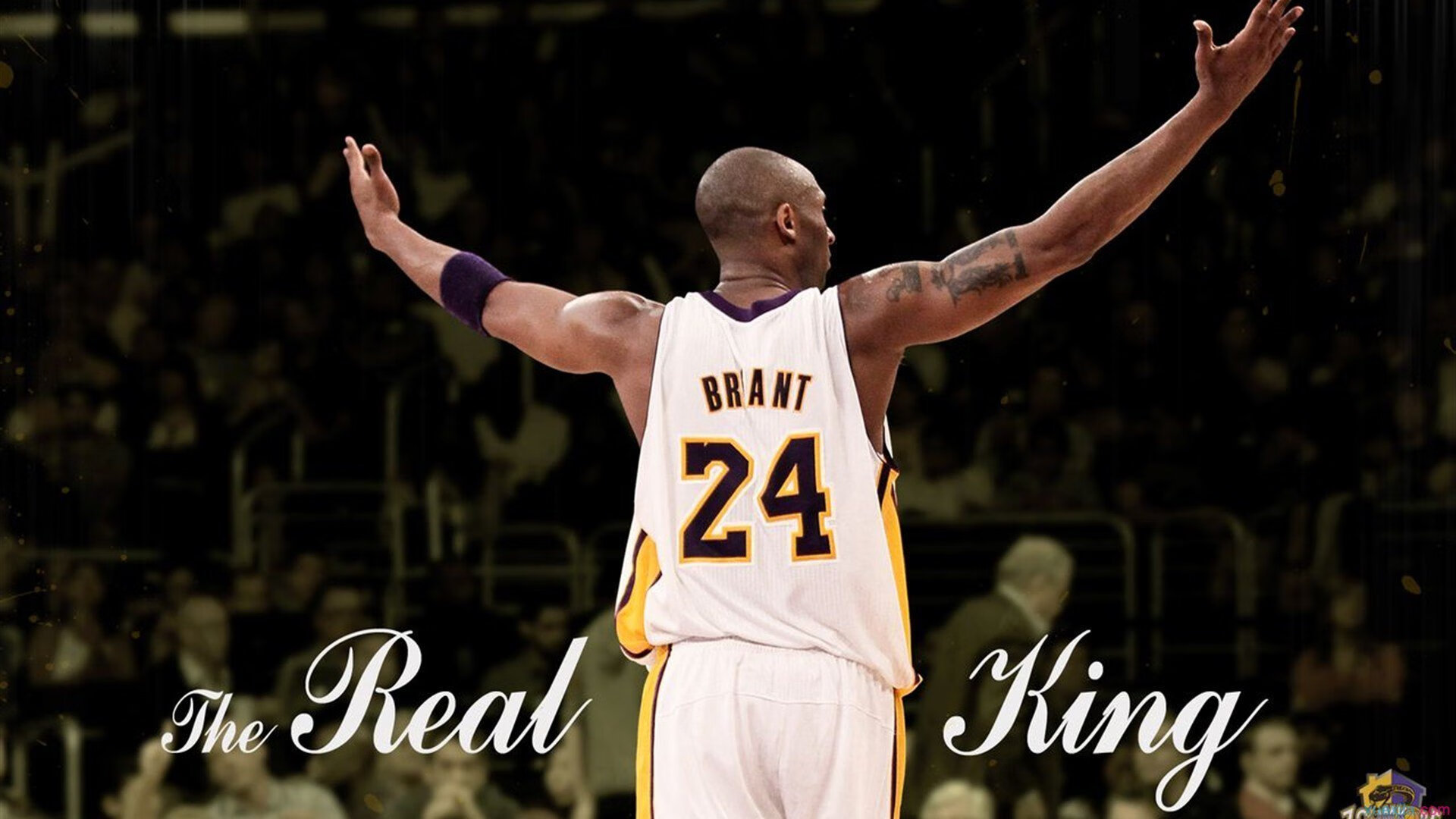 拳击赛选手体重管理重要性，拳击比赛体重